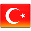 Turkish Website